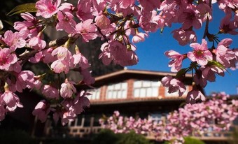 Hotel Pousada Para�so A��