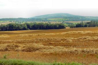 Bed & Breakfast Old Quarry Cottage