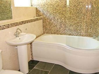 Egret, Milford Haven