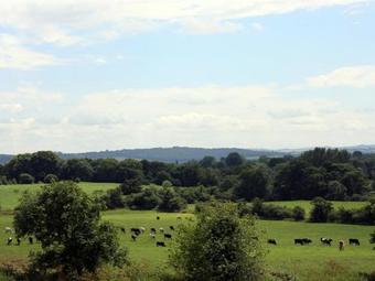 The Granary, Malmesbury