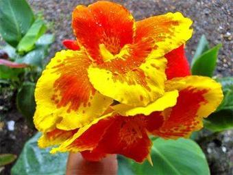 Hotel Clandestino Beach Resort