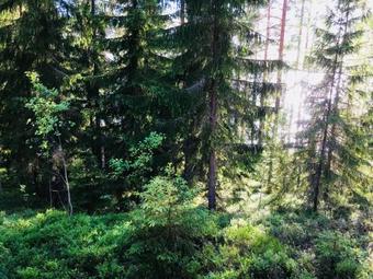Lake House With Sauna