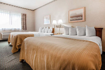 Hotel Quality Inn