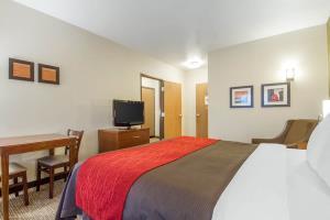 Hotel Comfort Inn & Suites San Francisco Airport West