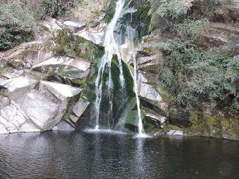 Caba�as Campo Huasi