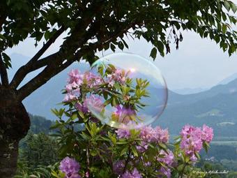 Hostal Familie Lemberger