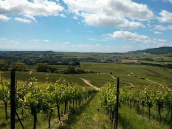 Apartamento Ferienwohnungen Bella Vita