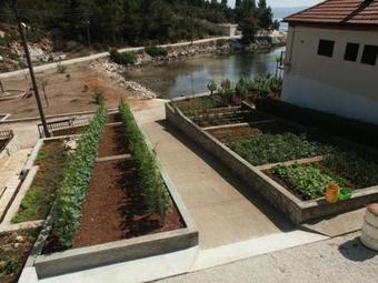 Apartments By The Sea Zman (dugi Otok) - 873