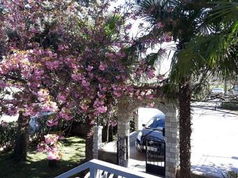 Apartamentos Paris 3