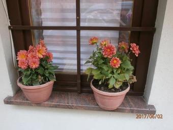 Apartments With A Parking Space Samobor (prigorje) - 12869