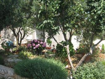 Apartments Sinisa