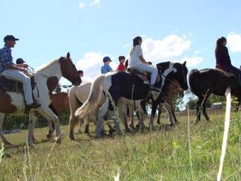 Hotel Estancia Renacimiento