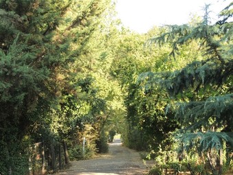 Hotel La Casa De Adobe Natural Y M�s