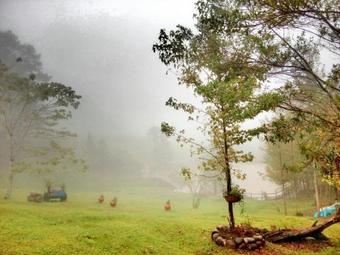 Hotel Y Caba�as Ros