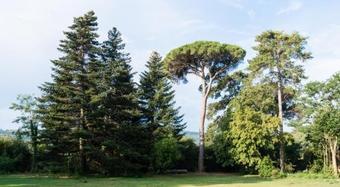 Hotel Ch�teau De Montcaud