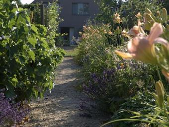 Barbara' Bed & Breakfast