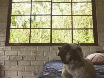 Agroturismo La Casita