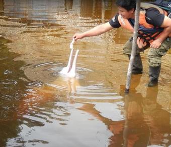 Posada Dolphin Lodge Napo River