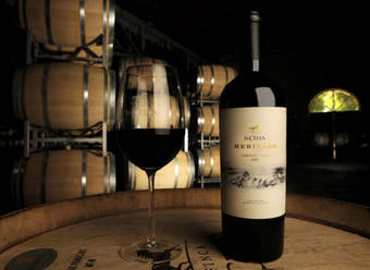 Hostal Posada La Celia Inn