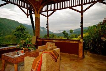 Hotel Silverback Lodge