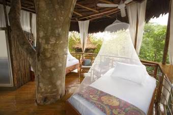 Apartamento Treehouse Lodge