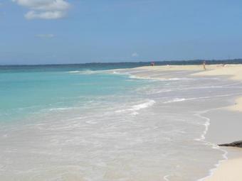 Bed & Breakfast Paradise Waits Hotel