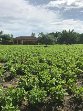 Apartamento Oakwood House