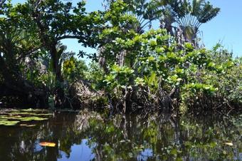 Austral Hotel Farafangana