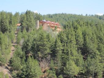 Vip Hotel Berovo - Apartments