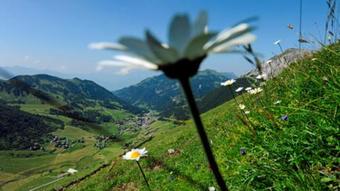 Apartamentos Ferienappartements Beck