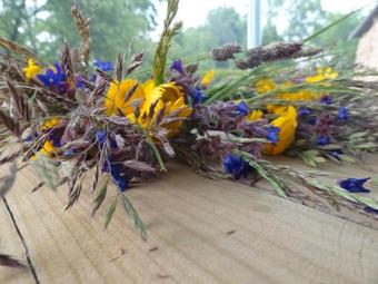 Apartamento O?ze ?imenei