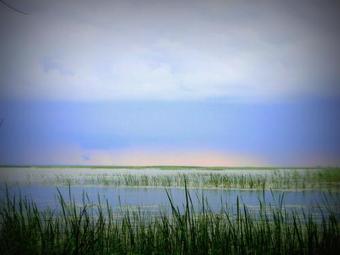 Albergue Lub?na Mitr?ja Inform?cijas Centrs