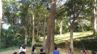 Lodge Nam Lik Eco Village