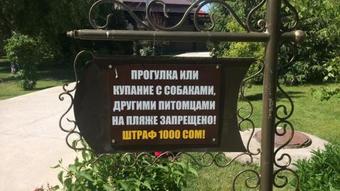 Apartamento Deluxe Royal Beach