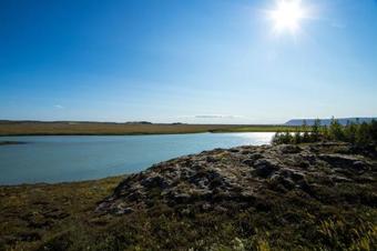 Greenkey Paradise Cabin