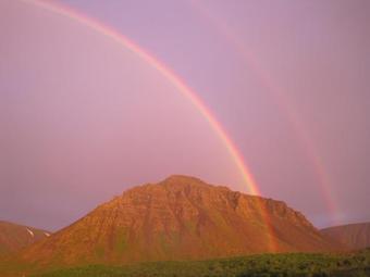 Bed & Breakfast Guesthouse Gimbur