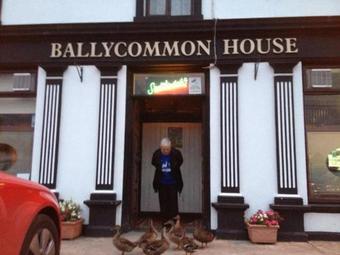 Apartamentos Ballycommon House