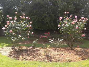 Agroturismo Glebe Country House