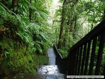 Cambourg Lodge Resort