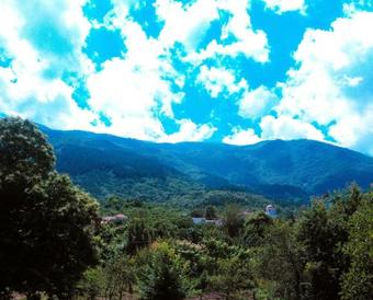Hotel Dynasty Guest Rooms