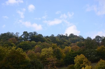 Ecokayan Dilijan Resort Hotel