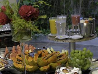 Tarik Fontes Plaza Hotel