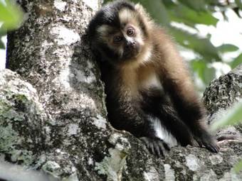 Hotel Chal�s Terra Nova