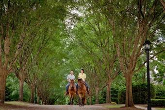 Hotel Barnsley Resort