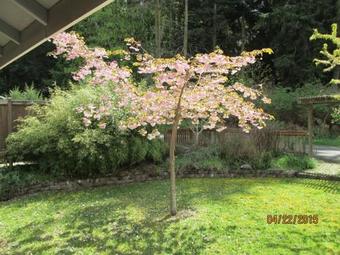 230 - Mutiny View Retreat