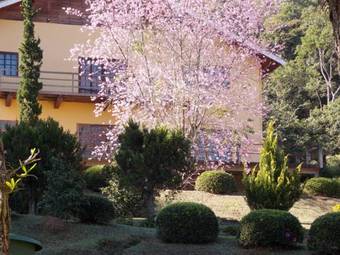 Hotel Fazenda Fonte Das Hort�nsias