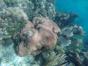 Hotel Laru Beya Resort