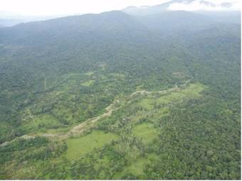 Selva Bananito Lodge