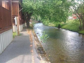 Qualla Cabins And Motel