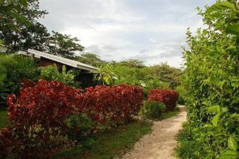 Las Avellanas Villas